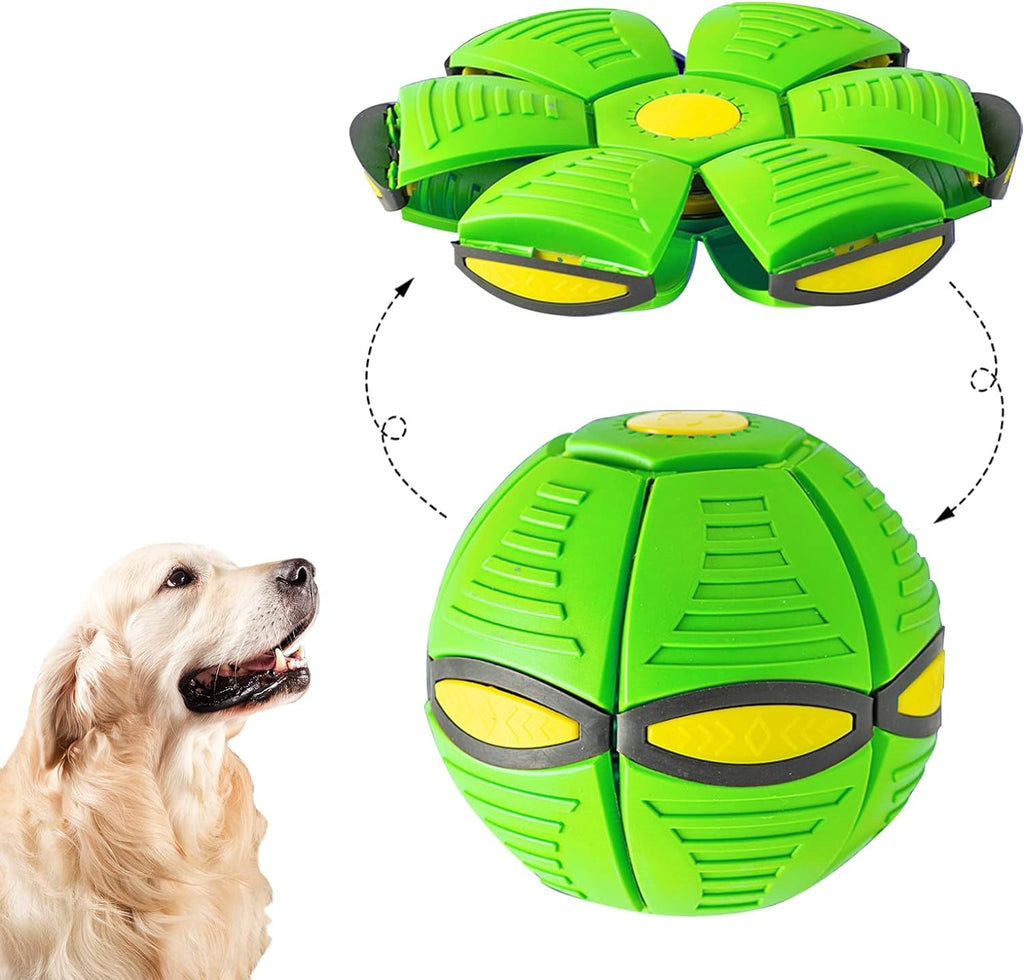 Flying Saucer Ball Pet Toy