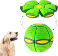 Flying Saucer Ball Pet Toy