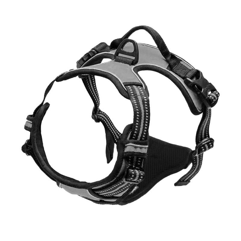 Nylon Dog Harness & Leash Set