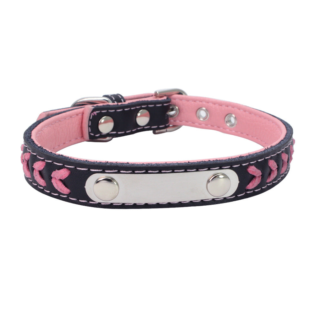 Stainless Steel Dog Collar with Colorful Leather Leash