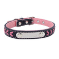 Stainless Steel Dog Collar with Colorful Leather Leash