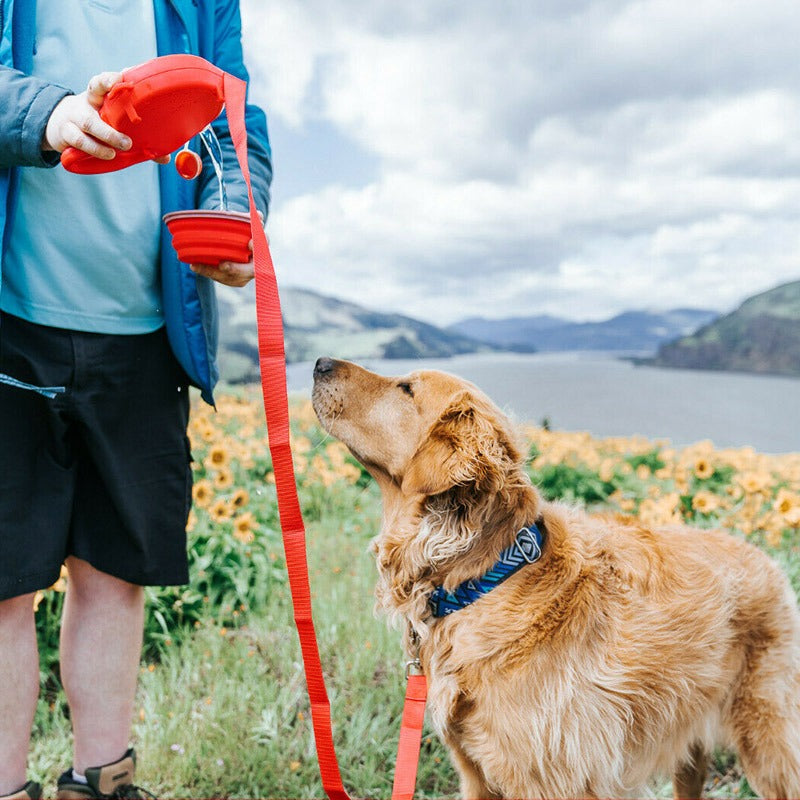 Retractable Dog Leash with Water Bottle