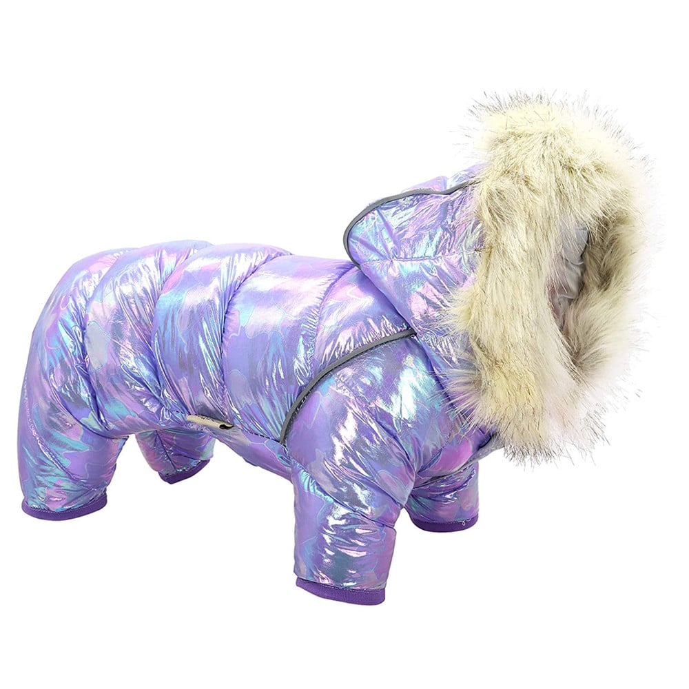 Colorful Dog Sweater with Button and Hat (Four Legs)