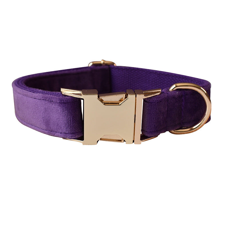 Alloy Carabiner Dog Leash and Pet Collar Combo