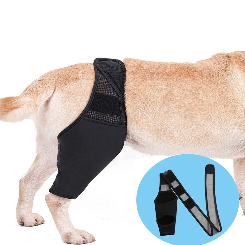 Dog Knee Brace Support for Joint Recovery