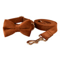 Ancient Pottery Dog Collar with Gold Clasp