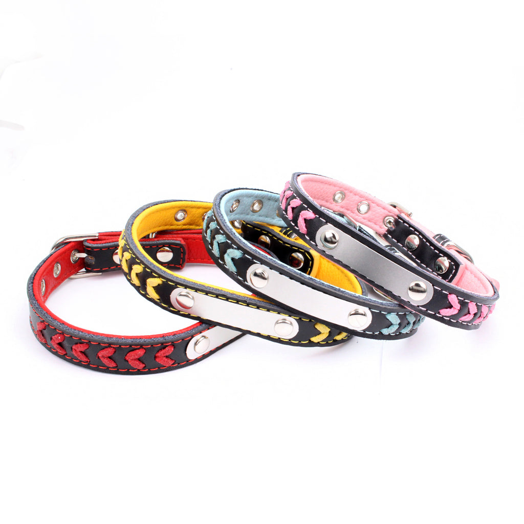 Stainless Steel Dog Collar with Colorful Leather Leash