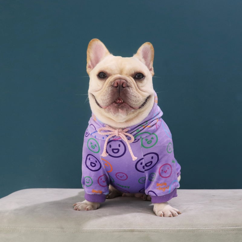 New Velvet Sweater for Schnauzer Dogs in Spring/Fall