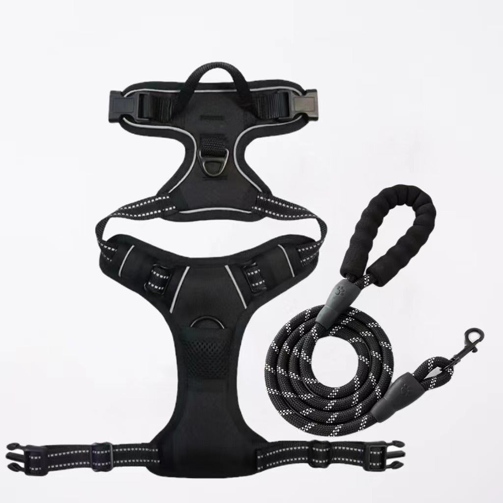 Nylon Dog Harness & Leash Set