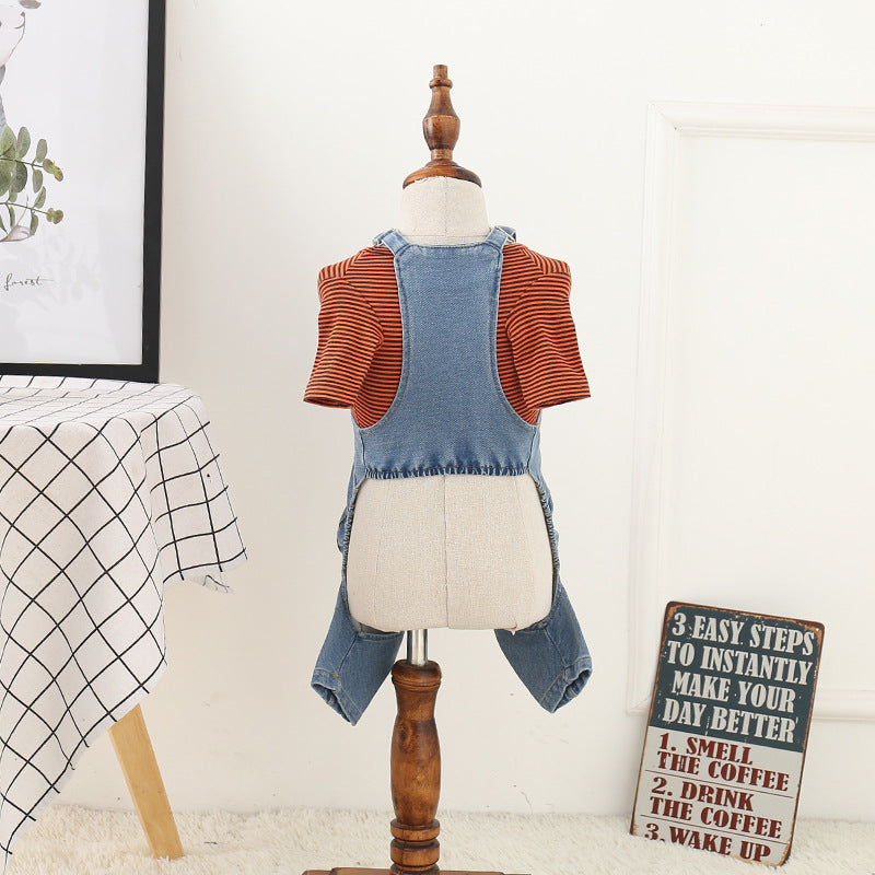 Jeans Dog Clothes for Teddy and Bichon Breeds