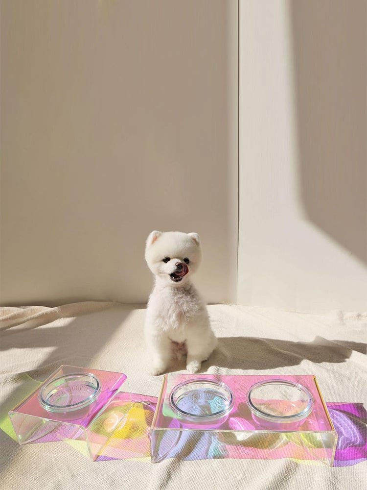 Acrylic Dazzling Bowl for Small Dogs
