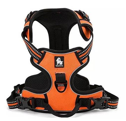 Reflective Traction Rope, Explosion-Proof Bear Leash