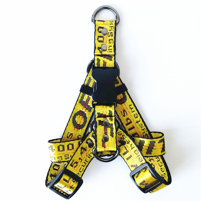 Gold Chain Nylon Dog Collar and Leash Set for Pets