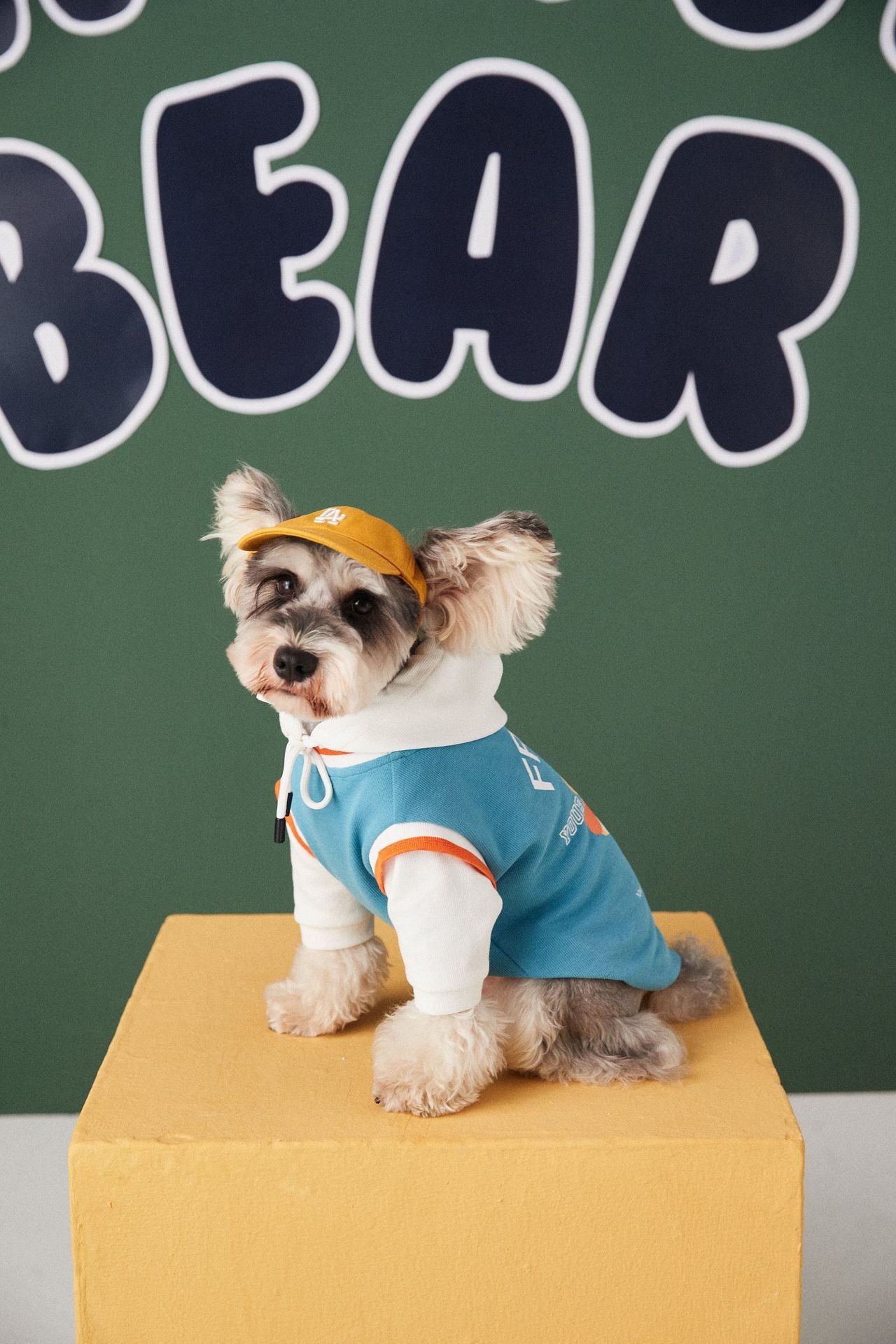 Contrast Color Two-Piece Pet Sweater Fashion Stitching