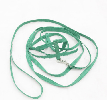 Parrot Leash for Outdoor Walking and Training