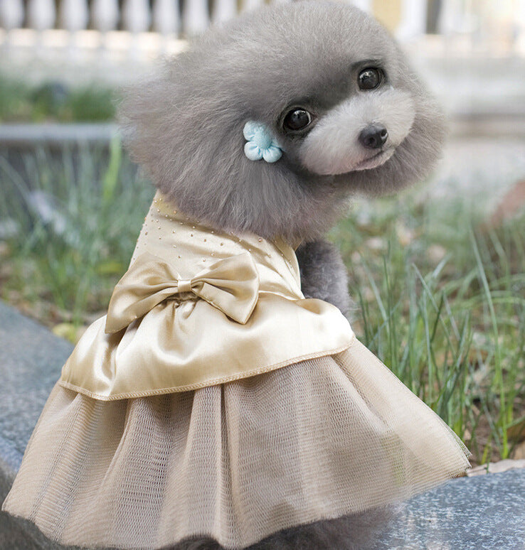 Cat Dress and Dog Wedding Gown and Outfit