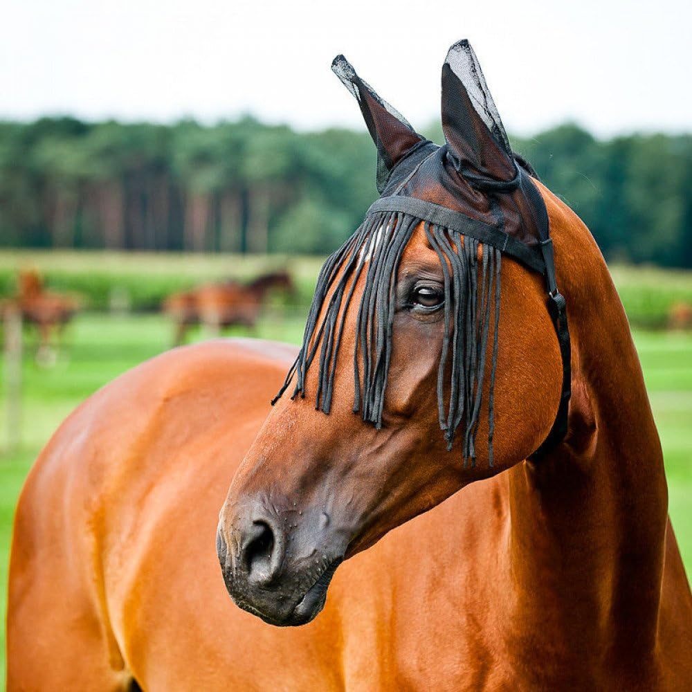 Summer Mosquito Protection Horse Mask