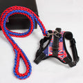 Dog Leash and Chest Strap Combo for Dogs