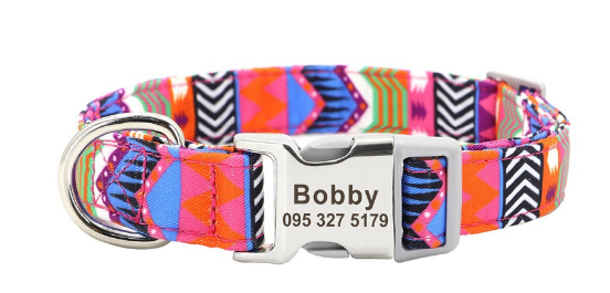 Personalized Nylon Dog Collar with Custom Nameplate Tag