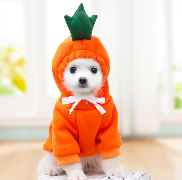 Cute Two-Legged Cat and Dog Clothing for Autumn/Winter