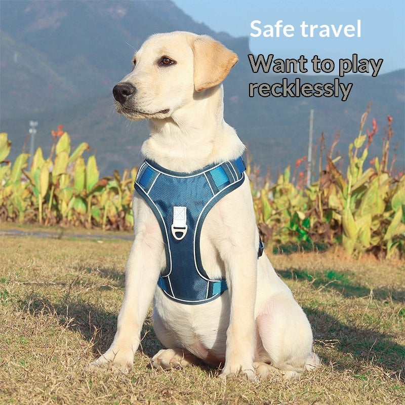 Automatic Retractable Dog Leash & Harness Set