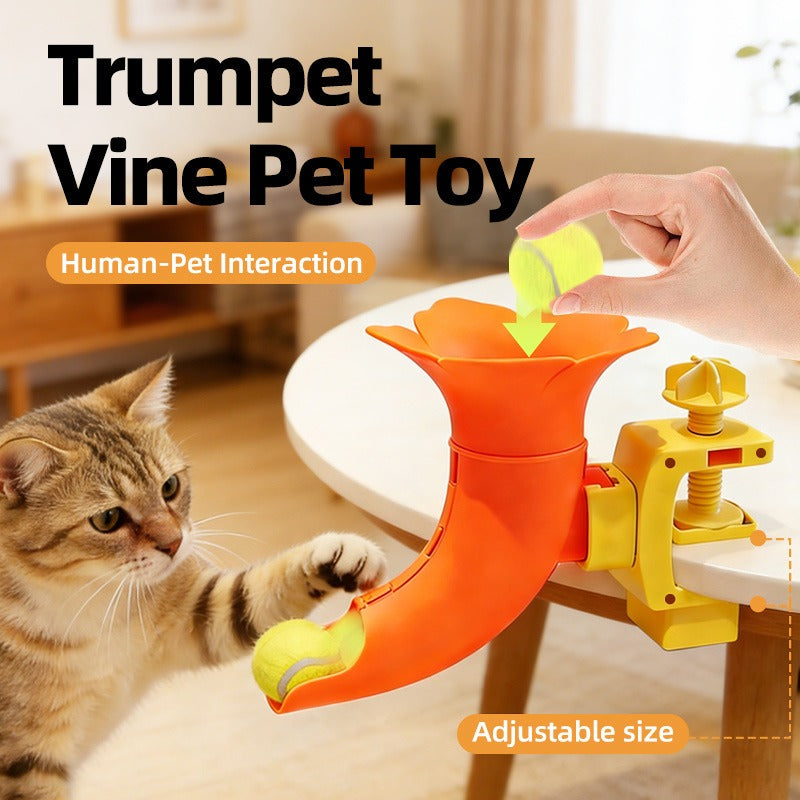 Self-Feeding Ball Dispenser