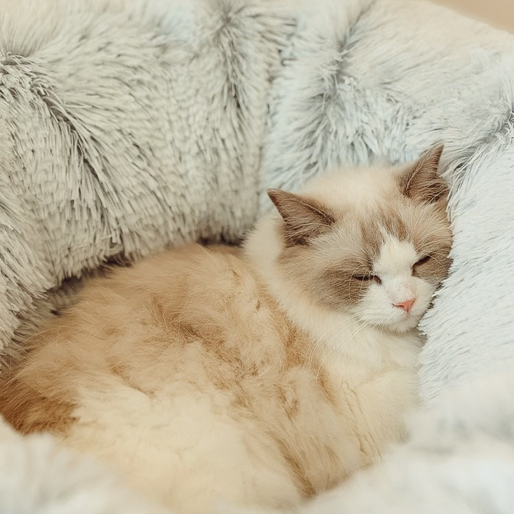 Four Seasons Closed Plush Cat Tunnel Bed