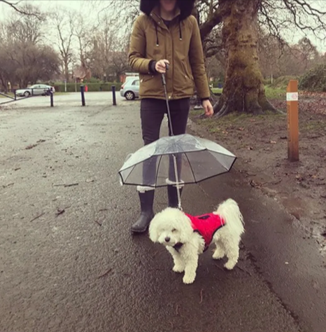 Pet Umbrella with Leash