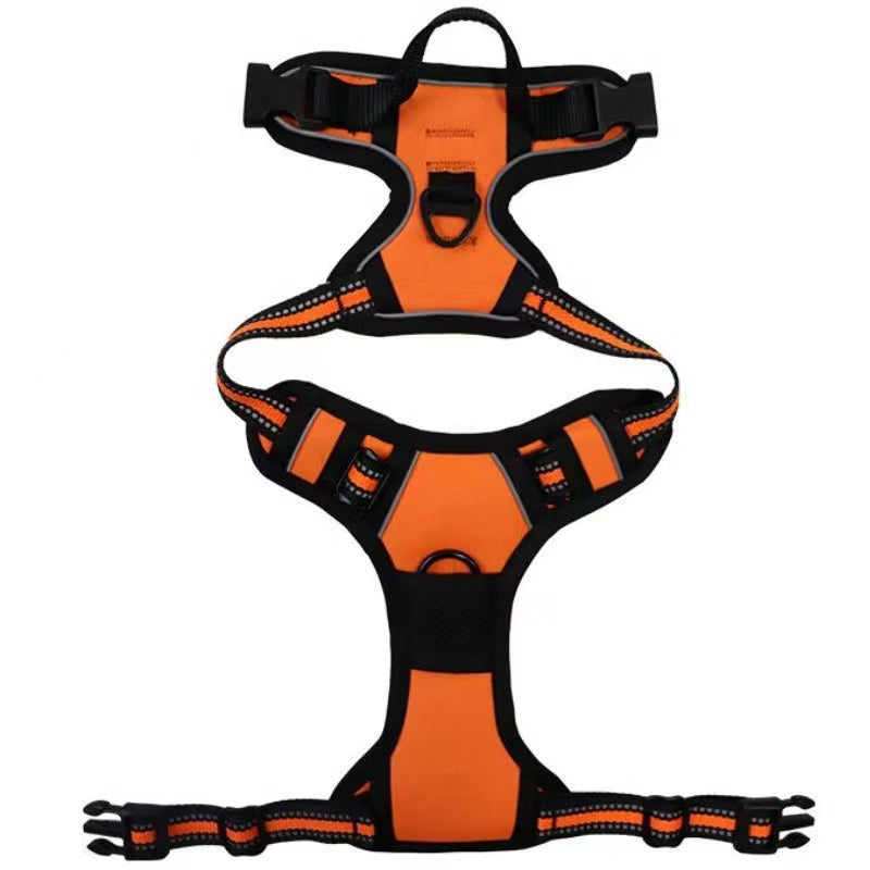 Nylon Dog Harness & Leash Set