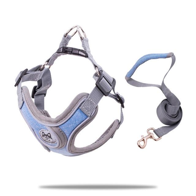 PET Strap Collar and Leash for Small to Medium Dogs