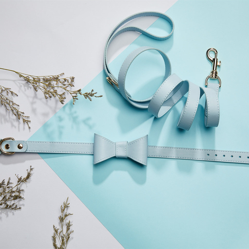 Cute Bow Collar and Leash Set for Pets