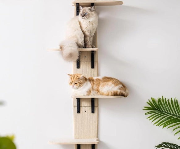 Wooden Door-Mounted Wall Cat Tree