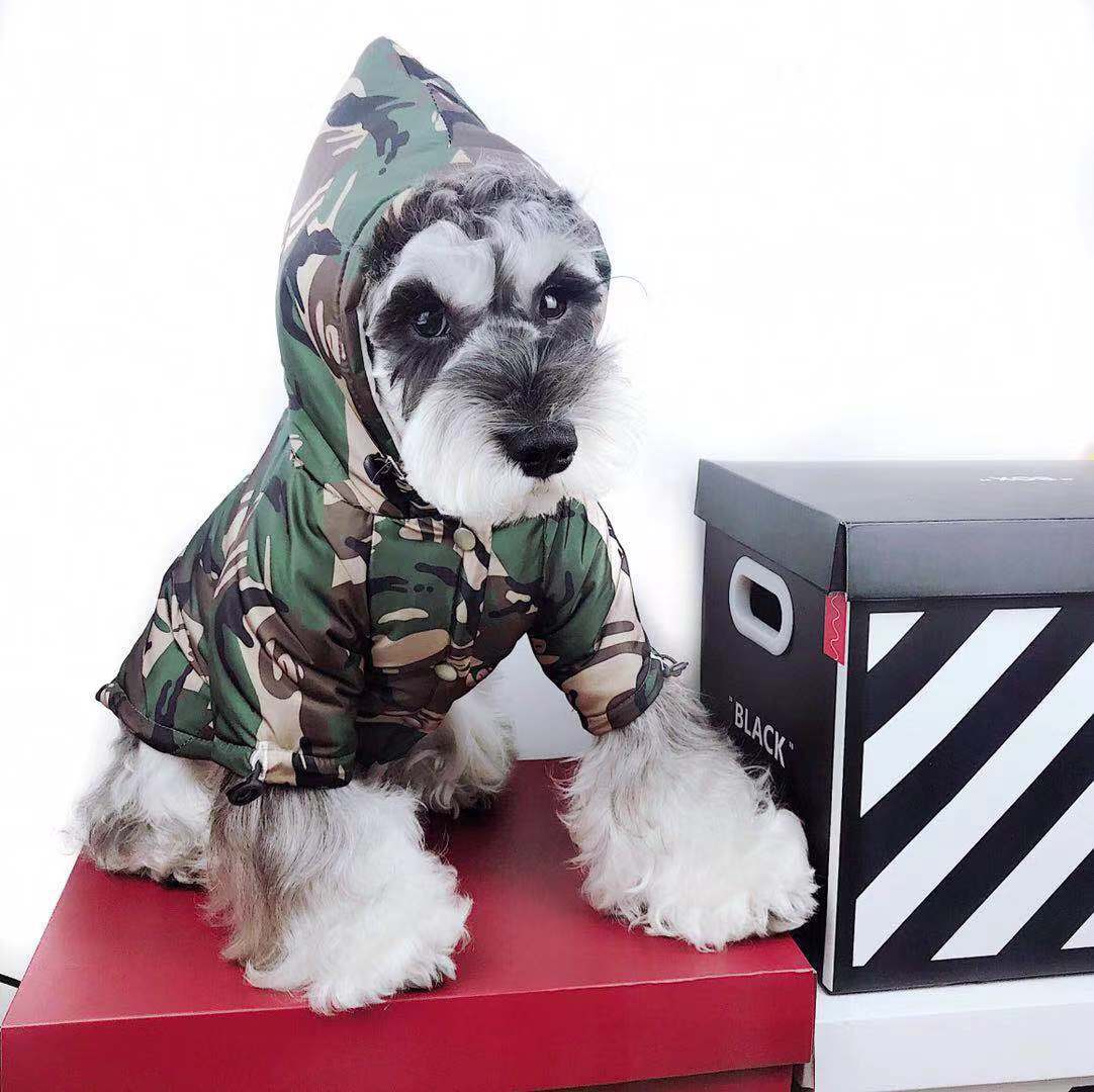 Waterproof Camouflage Raincoat for Dogs (Teddy & Schnauzer)