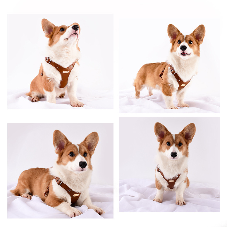 Leather Dog Chest and Back Harness