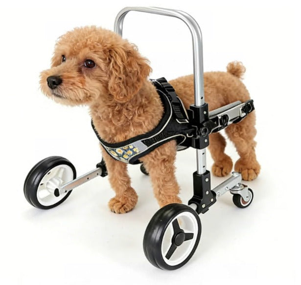 Small Dog Front-Limb Wheelchair