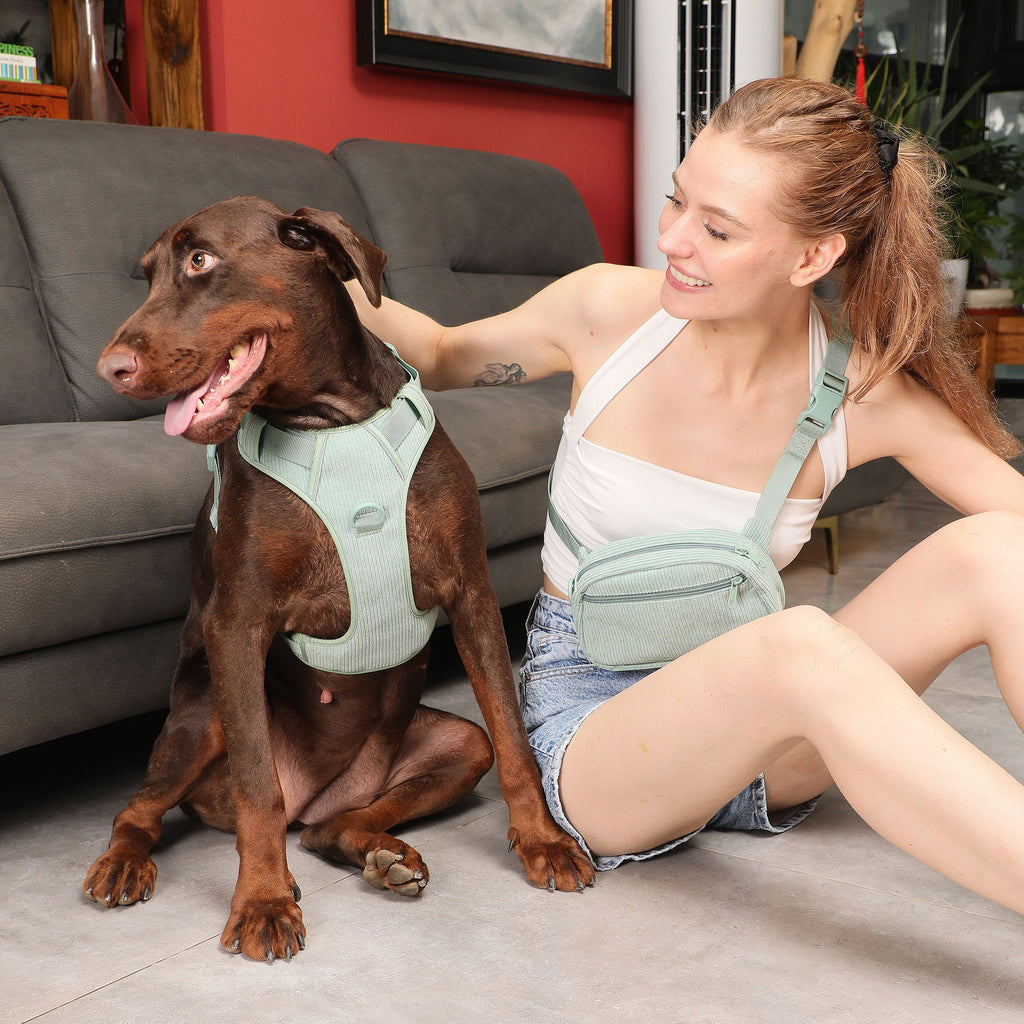 Pet Vest with Collar