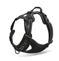 Truelove Adjustable Reflective Nylon Harness for Dogs