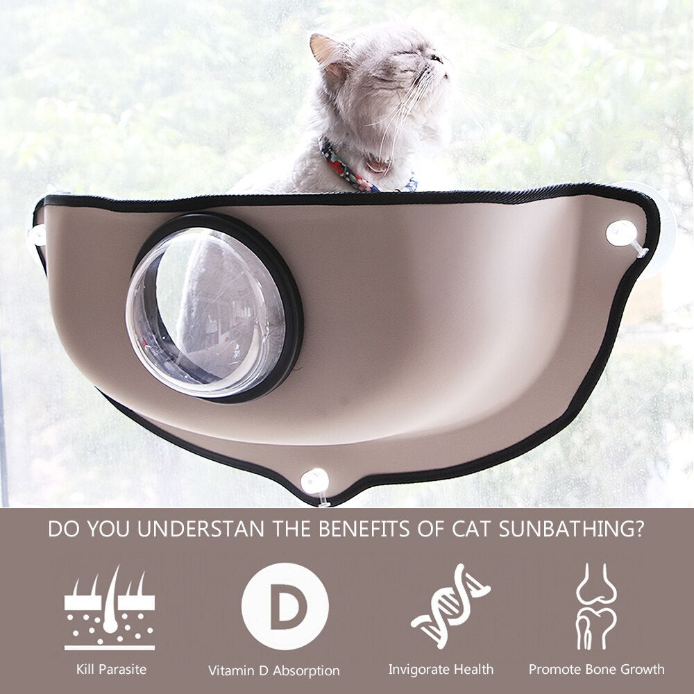 Cat Space Window Bed with Suction Cups for Pets