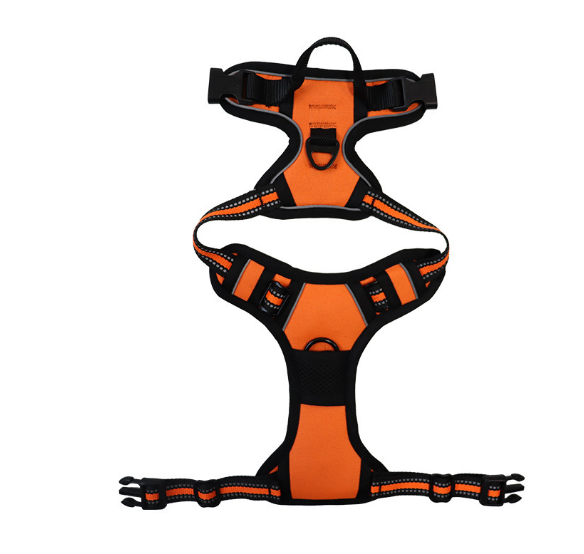 Dog Harness with Leash