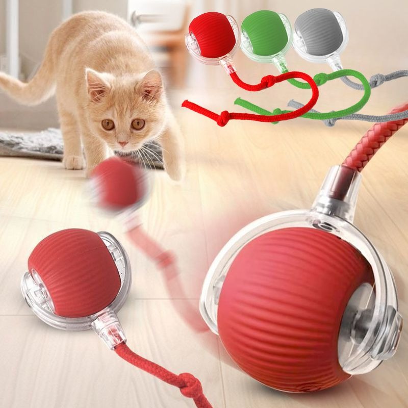 Cat Interactive Rolling Ball Toy