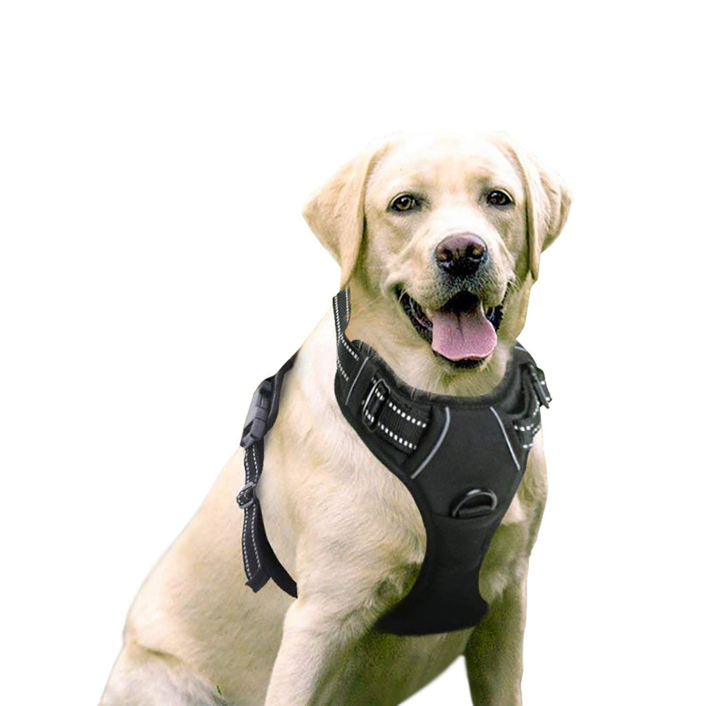Medium and Large Dog Vest with Leash Attachment