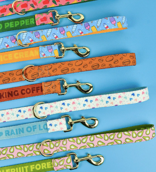 Heart Pattern Pet Leash