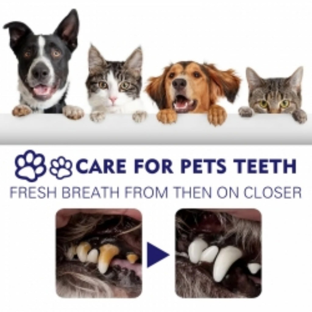 Pet Mouth Cleaning Cream for Cats & Dogs