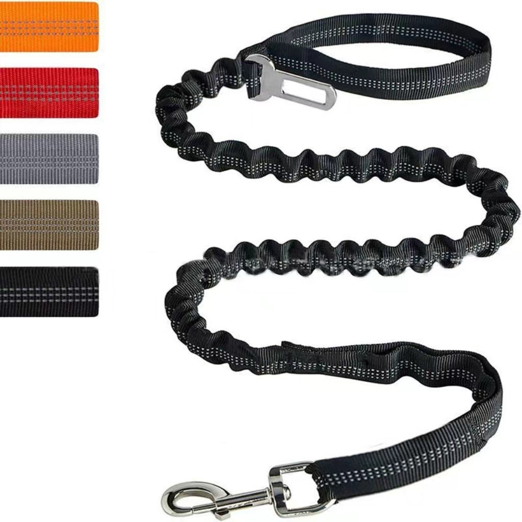 Reflective Polyester Dog Leash