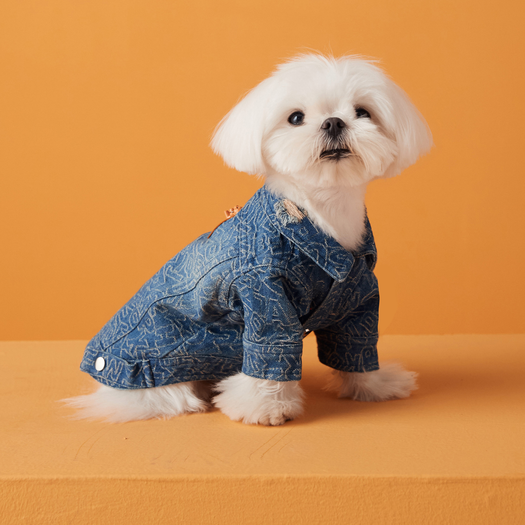 Pet Denim Shirt for Spring and Summer Wear