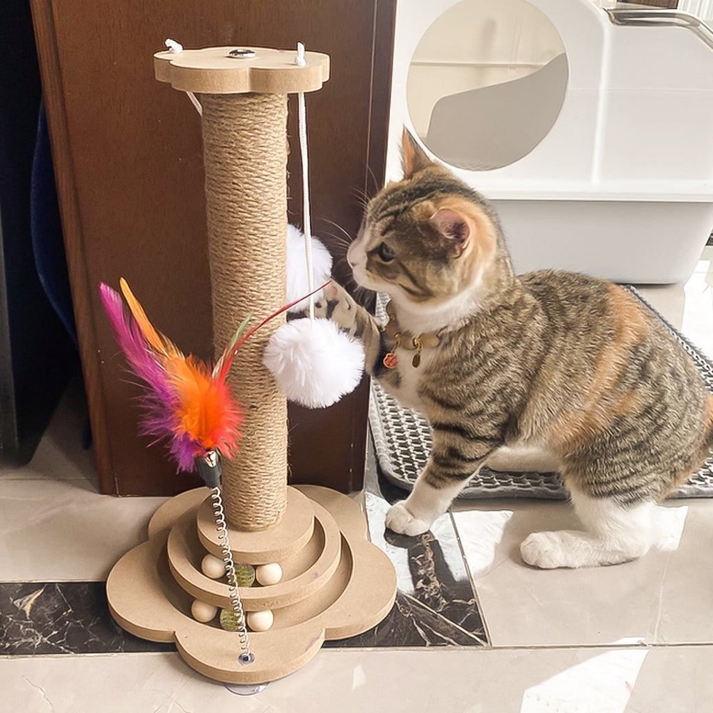 Cat Scratching Post