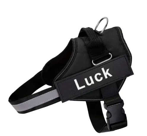 K9 Pet Leash and Harness