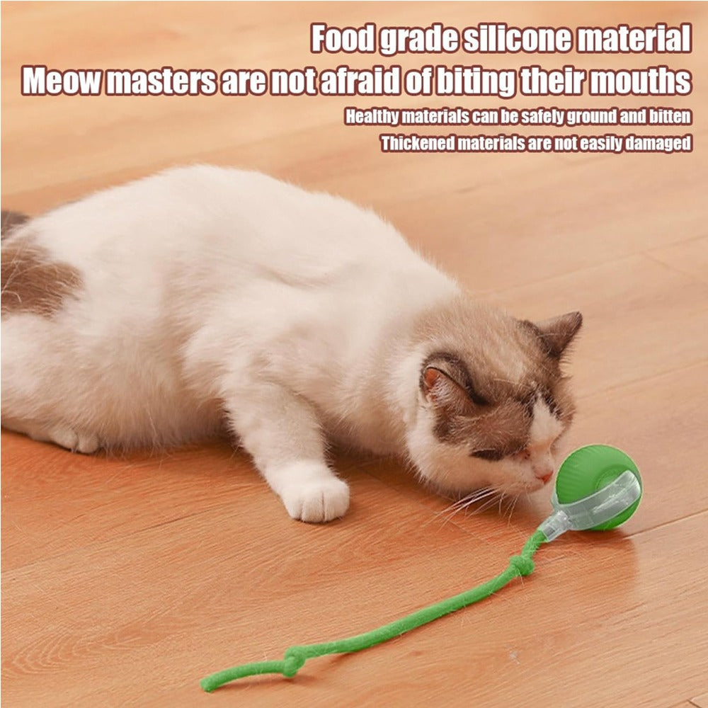 Interactive Rolling Cat Ball Toy