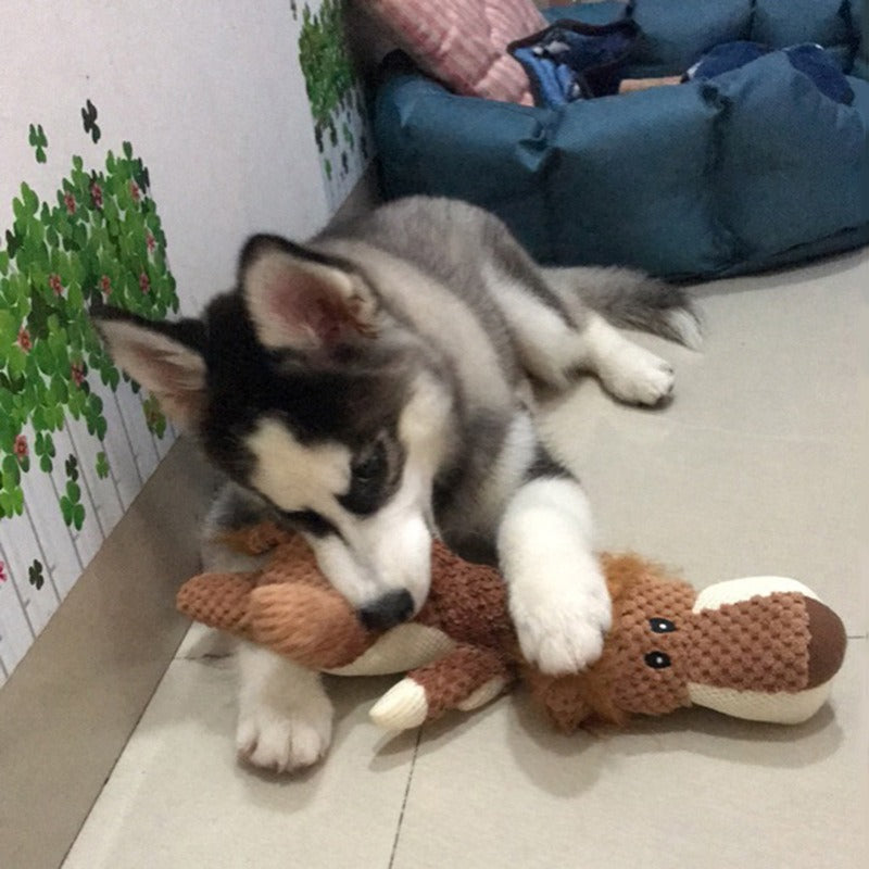 Bite-Resistant Dog Plush Toy
