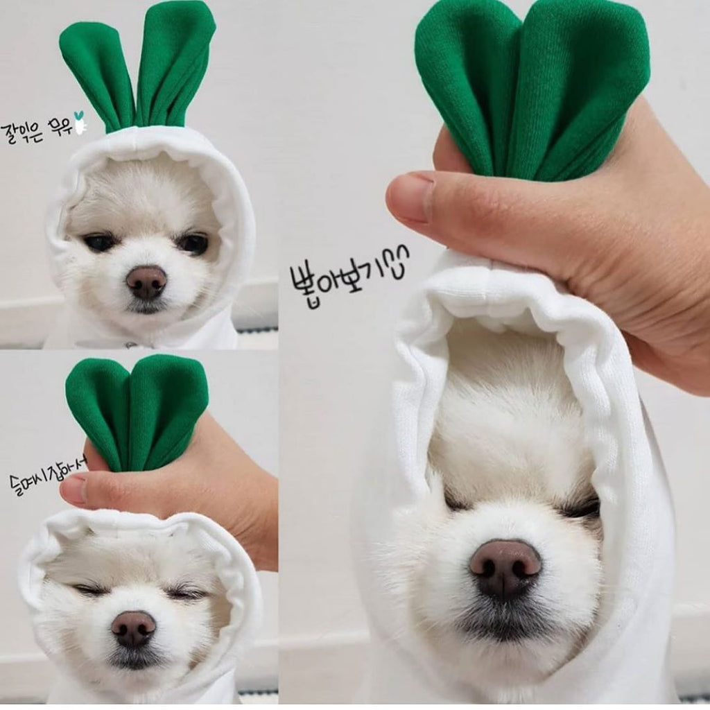 Cute Two-Legged Cat and Dog Clothing for Autumn/Winter